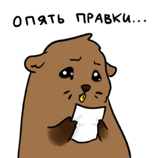 😿