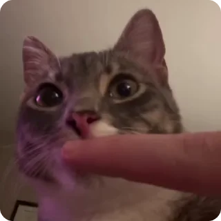 💅