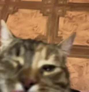 😃