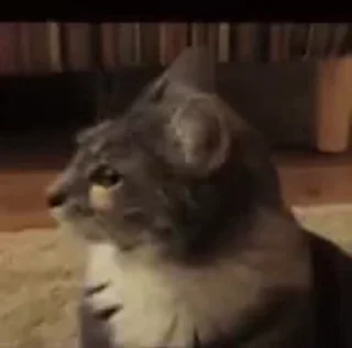 😳