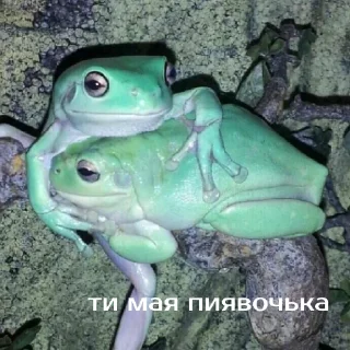 ❤️