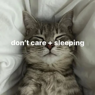 💤