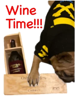🍷
