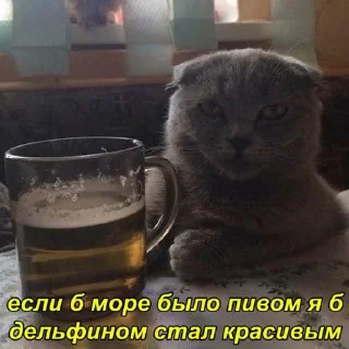 🍻