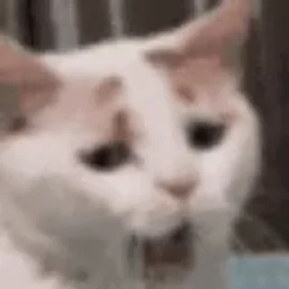 🥱