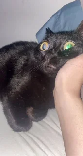 😐