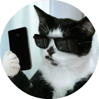 😹