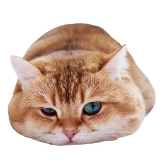🤨