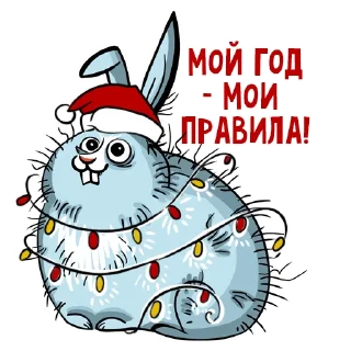 🐰