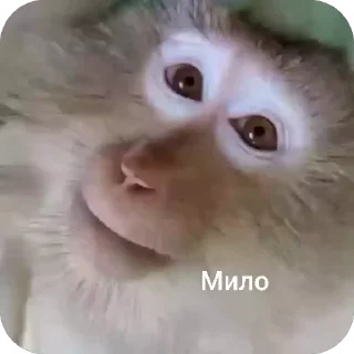 🤨