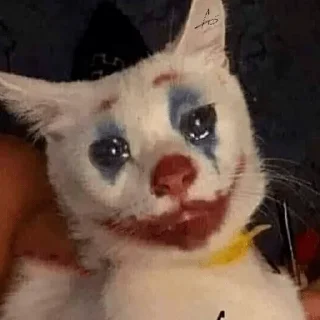 🤡