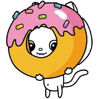 🍩