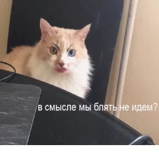 😡