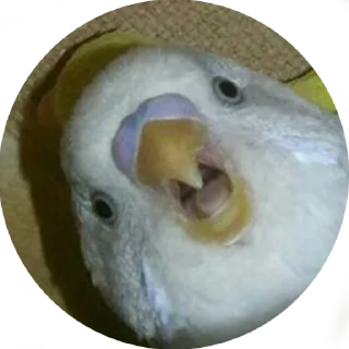 🤨
