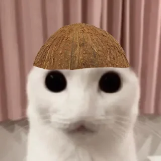 ☃️