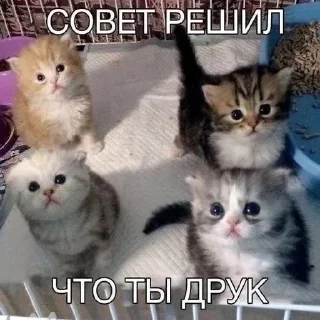 😍
