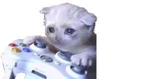 🎮