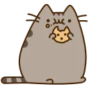 🐱