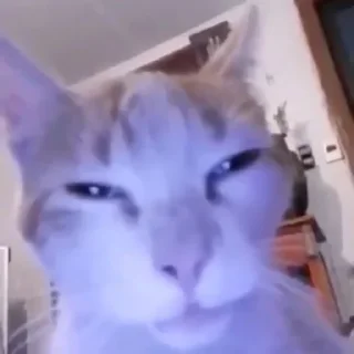 😒