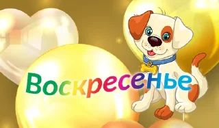 🐶
