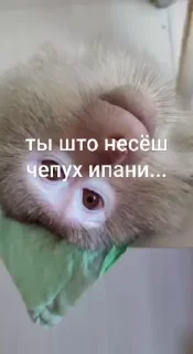 😭