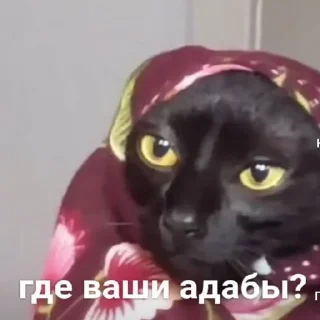 🤨
