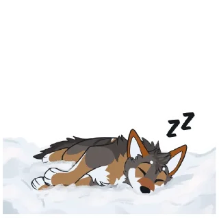 💤