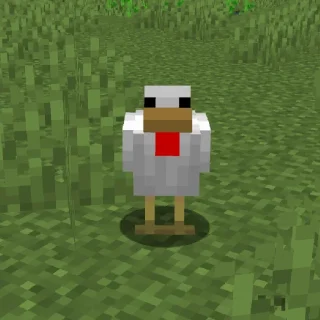🐓
