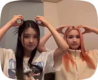 🐻
