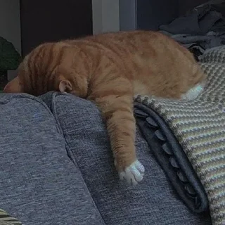 💗