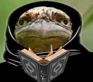🪃