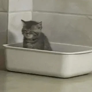 😴