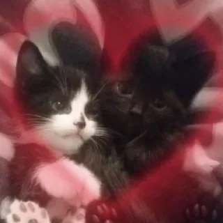 🥰