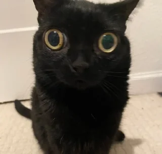 😐