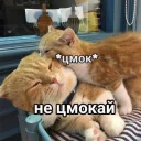 😉