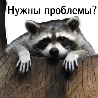 👊