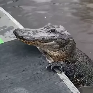 🥰