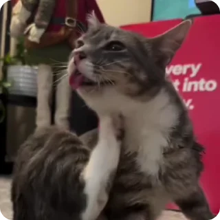👊