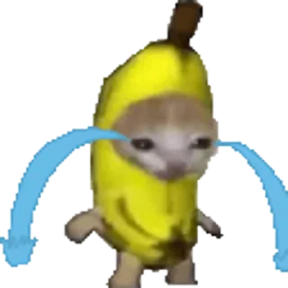 🐈