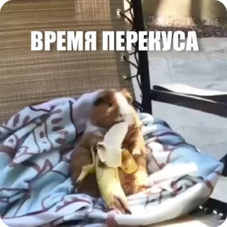 😀