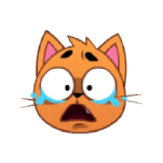 😿