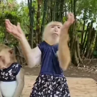 🌟