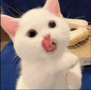 😋