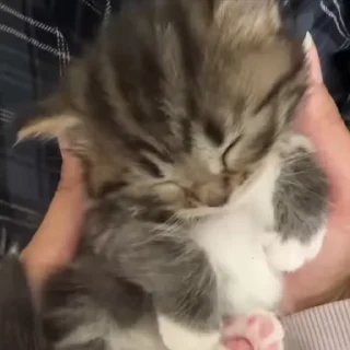 😇