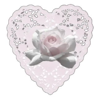 🌸