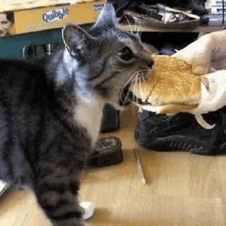 🍔