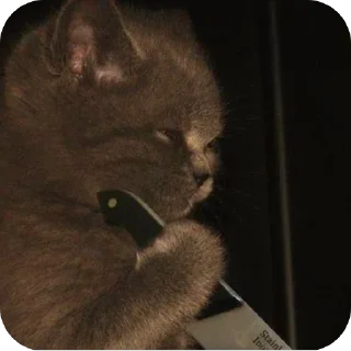🔪