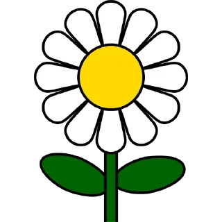 🌻