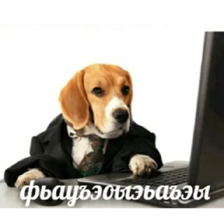 💻