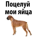 😂